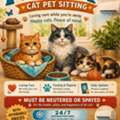 Mirya Cat Sitting