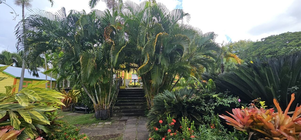 San Francisco, Travel, Explore Tropical St Kitts On An Island Paradise Tour