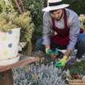 Martha's Vineyard Landscaping