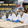 Best Makhana Exporter In India &ndash; Premium Quality For Global Buyers