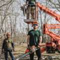 Brush Cutting Service Near Martha's Vineyard