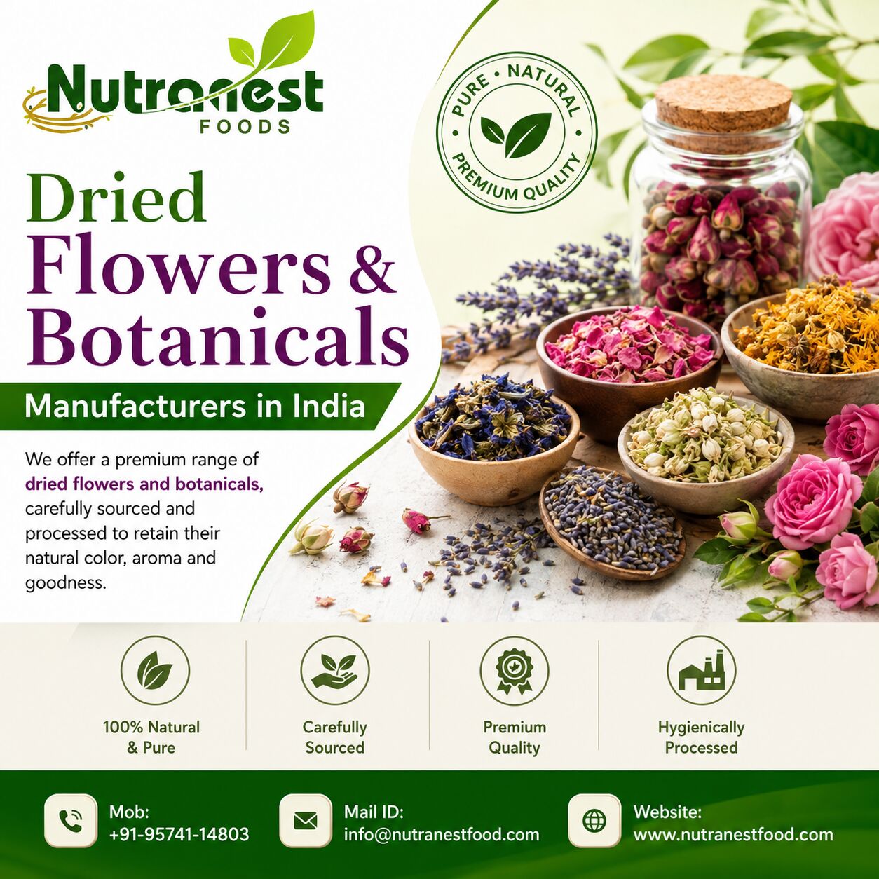 Mumbai, Business, Premium Dried Flowers & Botanicals For Bulk Buyers
