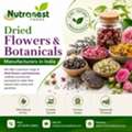 Premium Dried Flowers & Botanicals For Bulk Buyers