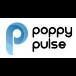 Mumbai, Marketing, Best SEO Agency In India | Poppy Pulse For Sustainable Growth