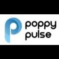 Best SEO Agency In India | Poppy Pulse For Sustainable Growth
