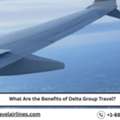 What Are The Benefits Of Delta Group Travel?