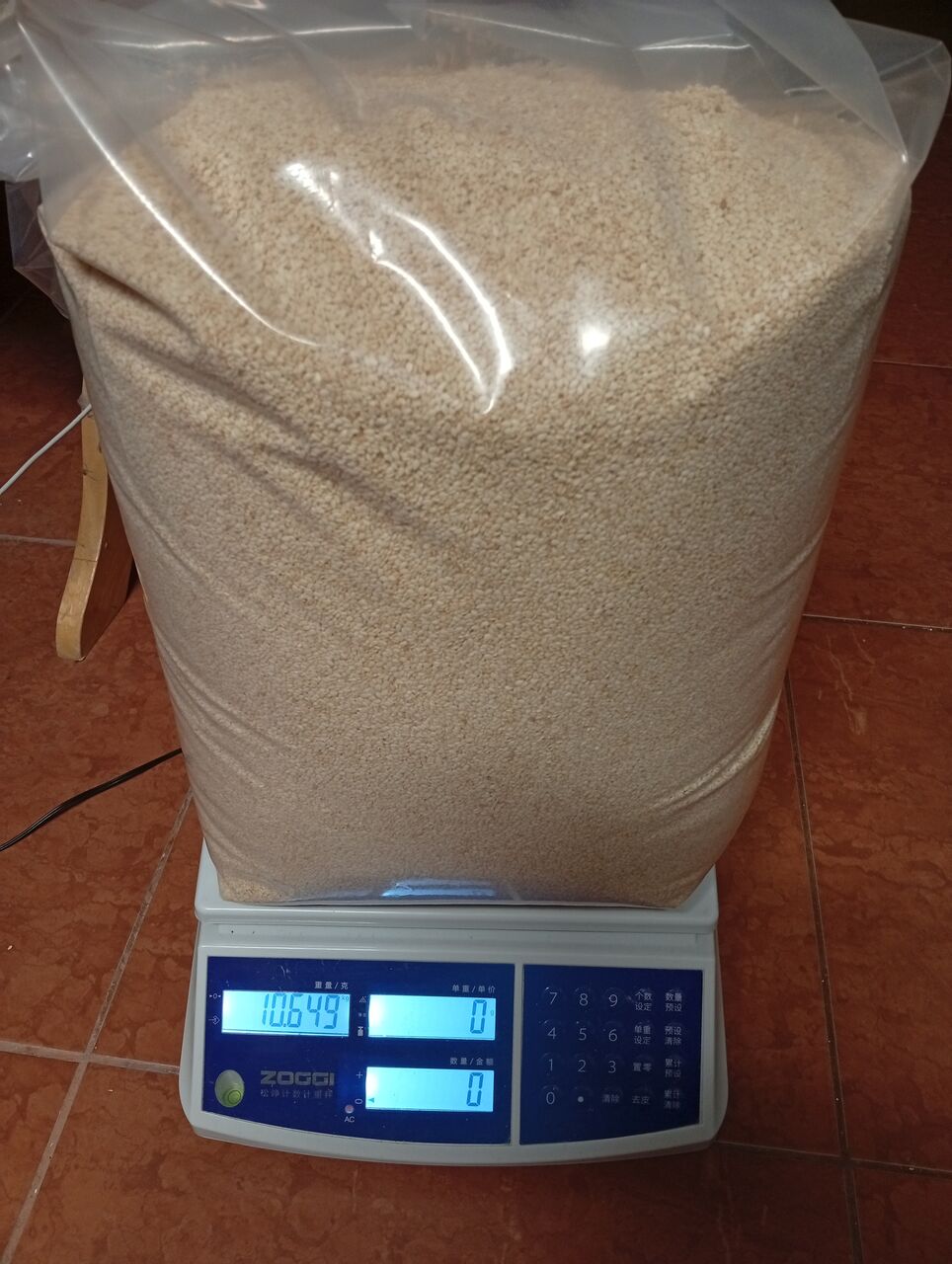 Muharraq, Temp Jobs, Roasted Peanut And Roasted Sesame Wholesale