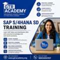 SAP S/4HANA SD Training | GTR Academy