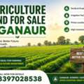 Prime Agricultural Land For Sale In Ganaur &ndash; Investment Hotspot!