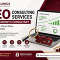 INR 100,  SEO Consulting Services | Organic Growth Consultant &ndash; Biz Klinics