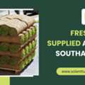 Fresh Turf Supplied Across Southampton