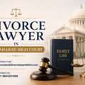 Divorce Lawyer In Allahabad High Court For Legal Support
