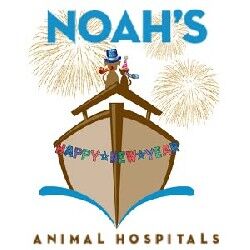 New York, Business, Noah