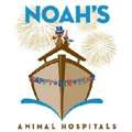Noah's Stop 11 Animal Hospital