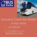 Premium Executive Coach Buses For Large Group Travel