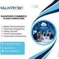 Salesforce Commerce Cloud Consulting