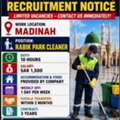 Park Cleaner Work
