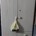SAR 150,  Almirah,TV Trolly