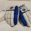 SAR 70,  Cricket Gloves