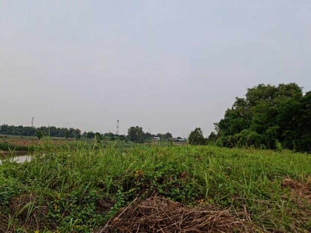 Bangkok, Real Estate For Sale, THB 150000,  6 BR,  803 Sq. Feet,  แนะนำซื้อขายอสังหาดีดี ขาย ที่ดิน