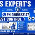 MS PEST CONTROL COCKROACH🪳SPRAYS (⁠✧💚⁠✧⁠) BED BUGS💚SOLUTION BEST PRICE(0509683147)' 11
