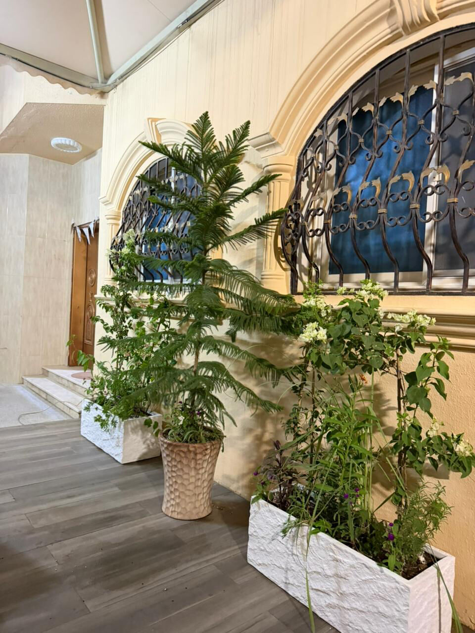 Riyadh, Farm/Garden, تنسيق الحدايق الرياض 🏕️ Green Garden Riyadh