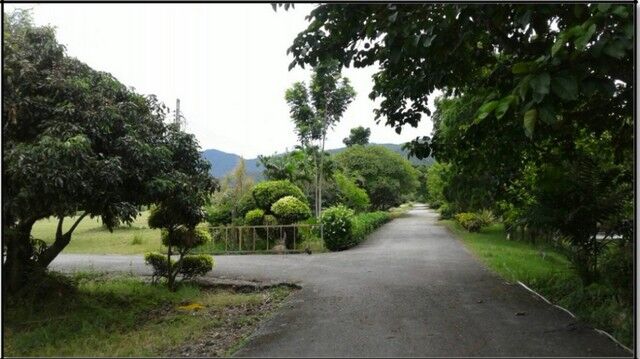 Bangkok, Real Estate For Sale, THB 39000000,  6 BR,  62000 Sq. Feet,  ขายที่ดิน115ไร่ ลดพิเศษ 39ล. ผ่อนได้ ฟร