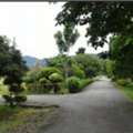 THB 39000000,  6 BR,  62000 Sq. Feet,  ขายที่ดิน115ไร่ ลดพิเศษ 39ล. ผ่อนได้ ฟร