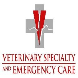New York, Pet Sitting, Veterinary Specialty & Emergency Care South - Open 24 Hours