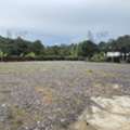 THB 3500000,  6 BR,  300 Sq. Feet,  L260144 | ขายที่ดินแปลงสวย 300 ตร.ว. (ถมแล้ว) เขา