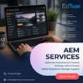 Optimize Multichannel Content Strategy With EnFuse&rsquo;s AEM Support