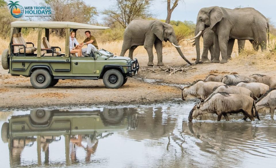 Nairobi, Travel, Bwindi Gorilla Safari | Gorilla Trekking Adventures