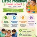Speech , Behaviour And Occupational Therapy