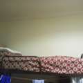 SAR 300/month,  BED SPACES FOR RENTAL