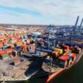 Port Logistics In India | Ripley Group Integrated Cargo Solutions