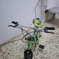 SAR 110,  Cycle Small Size