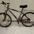 SAR 20,  Mountain Bike