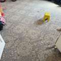 SAR 300,  Household Items