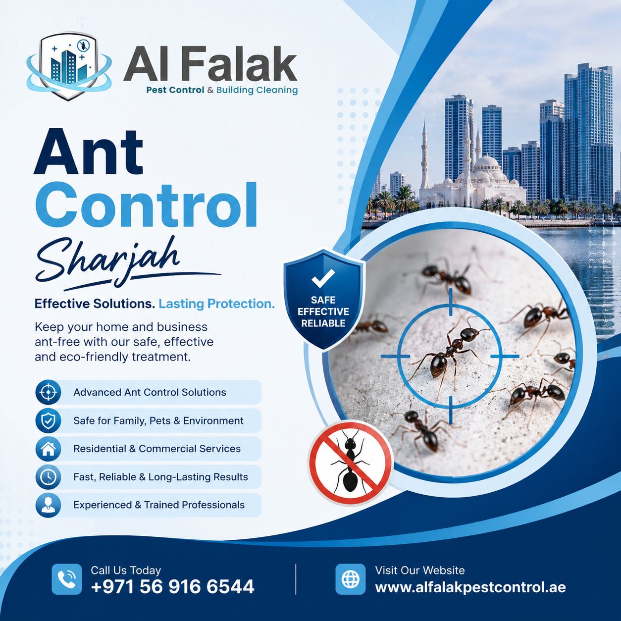 New York, Pest Control, هل تبحث عن مكافحة فعّالة للنمل في الشارقة؟ 