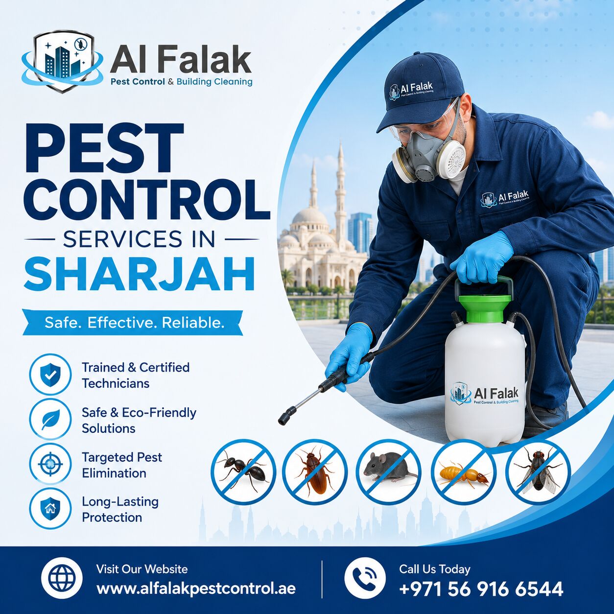 Sharjah, Pest Control, هل تحتاج إلى خدمات موثوقة لمكافحة الآفات ف