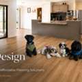 LVT Flooring Installation Perth &ndash; Professional Flooring Solutions