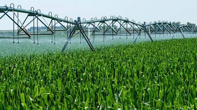 New York, Farm/Garden, The Irrigation Pros