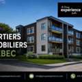 Courtiers Immobiliers Québec