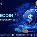 Boost Your Digital Finance Strategy With Stablecoin Development