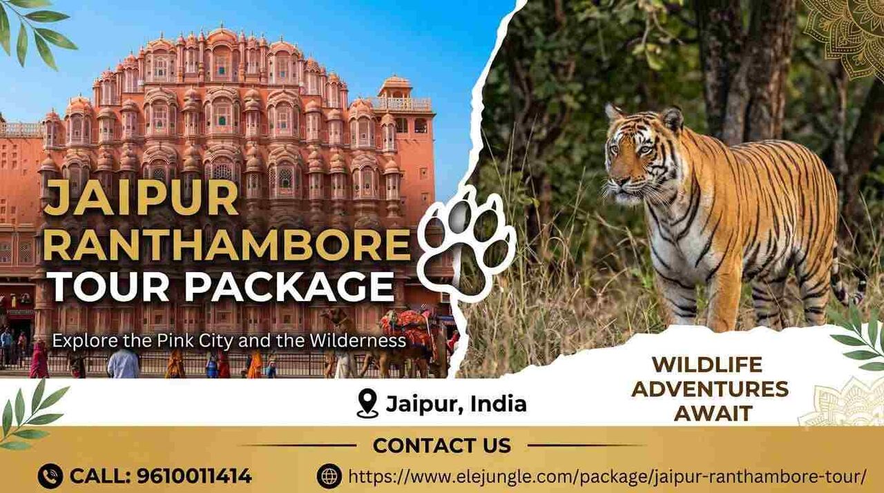 Jaipur, Travel, Forts, Palaces & Royal Tigers: Book Your Jaipur-Ranthambore Escape