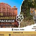Forts, Palaces & Royal Tigers: Book Your Jaipur-Ranthambore Escape