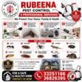 Pest Control Services Special Offer Just Only 15 BHD Call Now