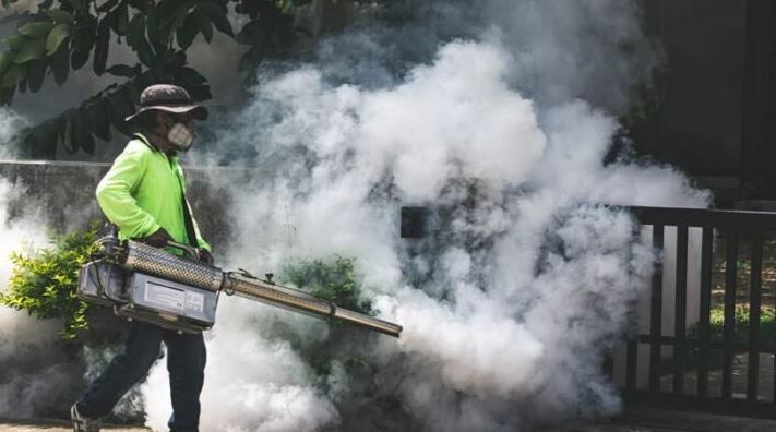 Karachi, Pest Control, Mosquito Control Service
