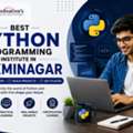 Professional Python Coding Course For Beginners In Laxmi Nagar