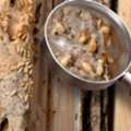 Termite Service